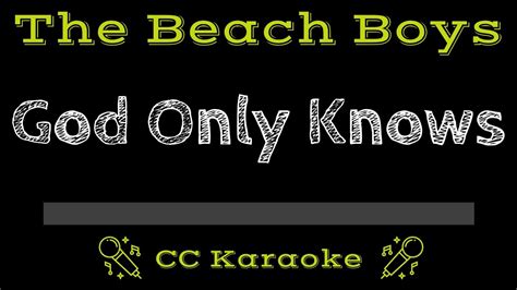 high lyrics by the beach boys